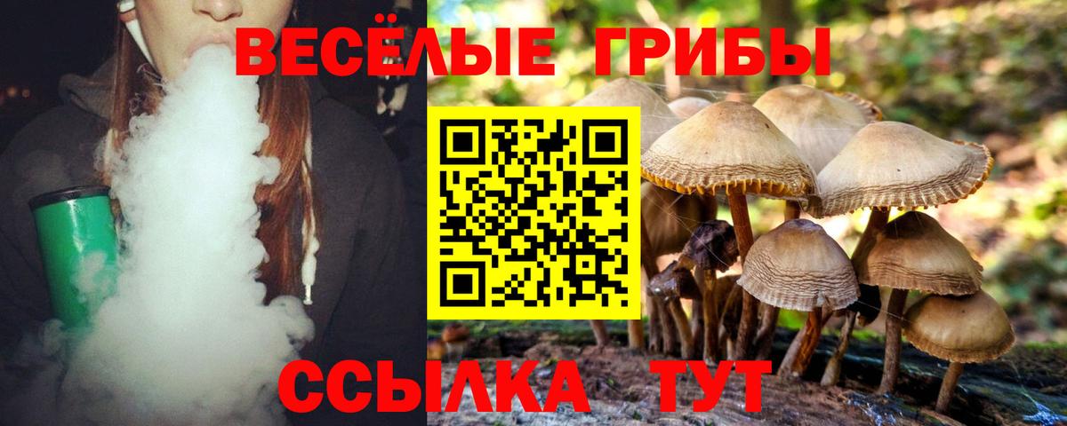 Псилоцибиновые грибы ЛСД Стрежевой